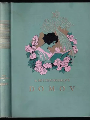 Domov - dívčí románek Tovární Cena
